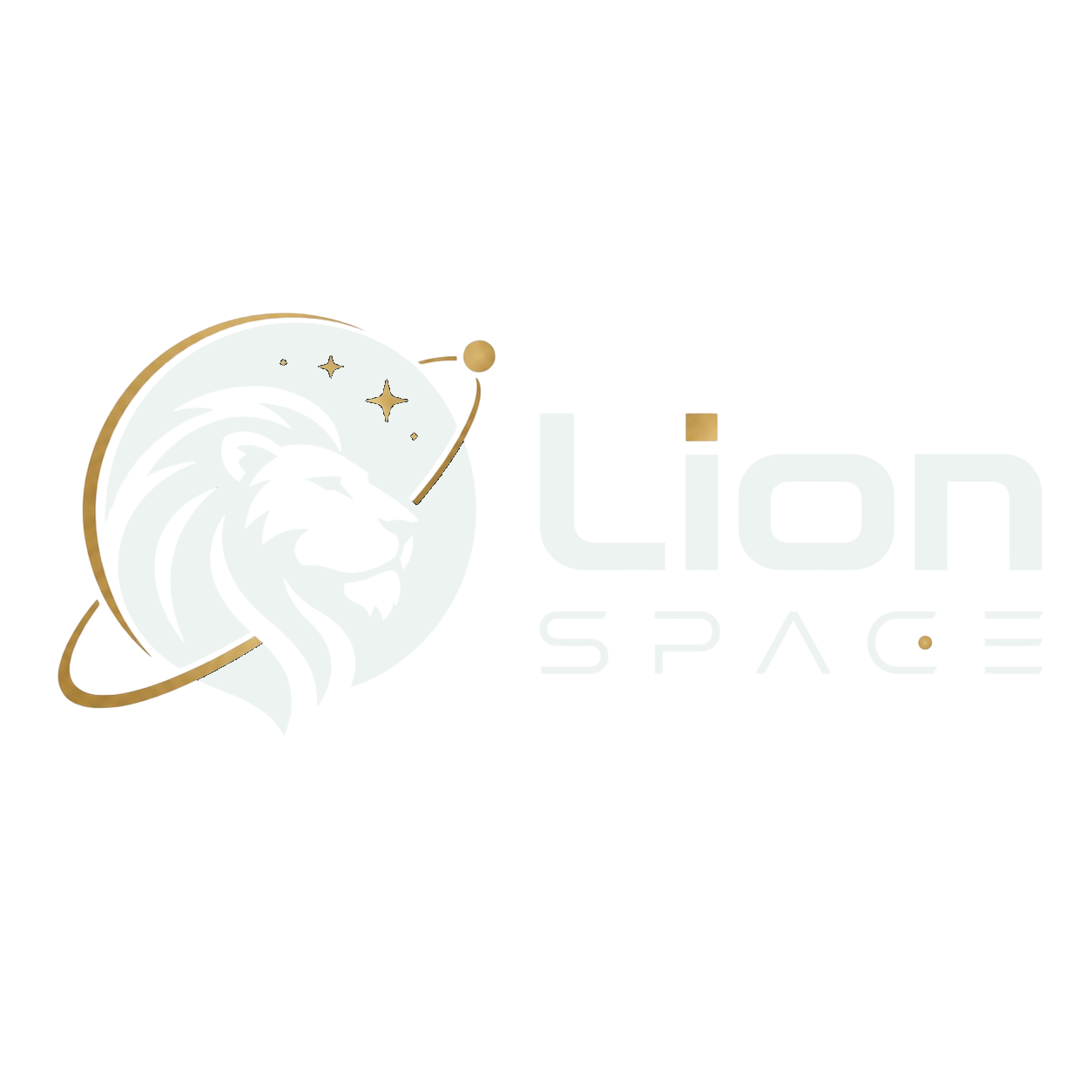 Lion Space